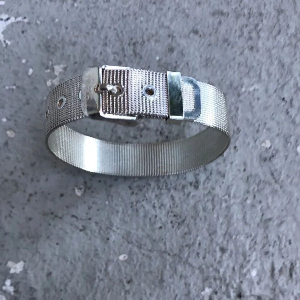 Silver Bry/watch band